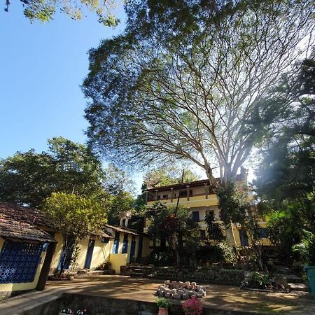 فندق ميجيل بيريرافي  Casa Da Fonte Hospedaria المظهر الخارجي الصورة